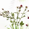 Ramas de Capullos de Flor Multi-Cabeza de Flor de Luna, Flores Prensadas, Especímenes de Plantas de Flores Secas, Pegatinas Hechas a Mano, Materiales para Marcadores de Libro DIY de Resina