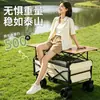 Carrito de puesto famoso en Internet para uso comercial, especializado para vendedores ambulantes, con una mesa plegable de altura ajustable, adecuado para vender salchichas, móvil para acampar al aire libre, multifuncional