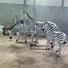 Escultura de animal de FRP personalizada grande para exterior, jardín, grulla, ciervo sika, conejo, panda, dinosaurio, decoración