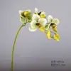 Orquídea Phalaenopsis artificial de aspecto realista transfronteriza EVA arreglo floral de una sola rama adorno de decoración del hogar simple mini Phalaenopsis de 5 cabezas venta al por mayor