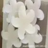 Esponja Depiladora Forma de Animal Pulpo Tortuga Toallita Forma de Flor Bola Esponjosa Depiladora para Lavadora Se Puede Producir Según Muestras