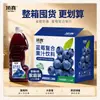 Bebida de Suco de Frutas Top Mirtilo, Garrafa Grande de 2,3L, Dropshipping Disponível, Pronto para Beber, Pacote Familiar, Caixa Completa de Bebidas