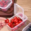 Caixa de frutas doméstica infantil portátil para levar para a escola/trabalho, lancheira para manter a frescura, caixa bento, caixa de armazenamento de plástico transparente para geladeira