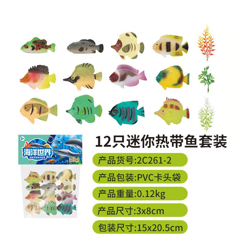 SKU图_2c261-2热带鱼