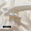 Presilha de Cabelo Quadrada Grande Estilo Coreano, Presilha de Tubarão em Acrílico para a Parte de Trás da Cabeça, Acessório de Cabelo