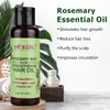 Mokeru Machino Óleo para Cuidado Capilar com Fragrância Alecrim Reparação Permanente e Coloração Antifrizz Cabelo Liso Óleo para Cuidado Capilar Fabricante