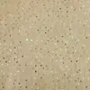 Jiaxin Têxtil Outono Novo Chiffon Franja 5mm Furo Lateral Lantejoula Bordada Moda Europeia e Americana Tecido para Vestido Casaco