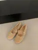 Zapatos peludos estilo Chanel para mujer, Invierno 2025, Zapatos de algodón cálidos forrados de felpa, Mocasines tipo Mary Jane sin cordones