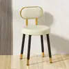 Taburete de tocador para celebridad de internet silla de comedor silla de maquillaje para dormitorio niña alta apariencia estilo ins dormitorio uso doméstico engrosado 2026