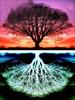 Pintura de diamantes 5D de Amazon, con diseño de atardecer, luna, planta, árbol y paisaje, pintura decorativa DIY, fabricantes, venta al por mayor, superventas