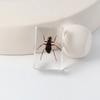 Libro de insectos reales delgados, adornos de escritorio de insectos reales, escarabajo escorpión, material didáctico para niños, manualidades de resina