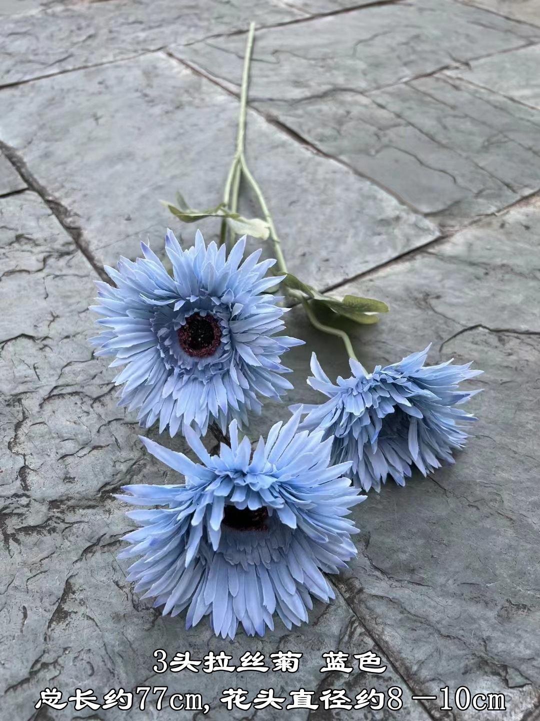 微信图片_20231024174359