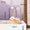 Columna de Cristal Natural Transfronteriza Flor Eterna Adorno de Tapa de Vidrio Prisma Hexagonal de Cristal Hecho a Mano DIY Flor Seca Regalo Creativo