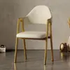 Silla de Comedor Lujo Ligero Silla de Ocio con Respaldo para el Hogar Taburete Simple para Escritorio Silla para Restaurante, Té con Leche, Uñas Silla de Recepción de Negocios