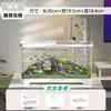 Tanque de Peces de Presión Negativa Suspensión al Vacío Pequeño Creativo Tanque para Peces Dorados Tanque de Paisajismo Ecológico Tanque de Plástico para Peces de Acuario de Escritorio