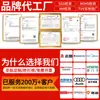 Tornillos Mecánicos de Hierro Blanco Zincado de Cabeza Phillips M3~M8 Estándar de Guangdong Tm En Stock Galvanizado Antióxido Cabeza Plana Grande Tornillos Pequeños de Cabeza Phillips