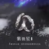 Anéis de Casal Estrela Roxa para Homens e Mulheres, Design de Nicho Tendência, Par de Anéis Fashion, Presente para Namorada, Anel Ajustável