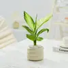 Bonsái Tocón Viejo Bonsái Cuatro Estaciones Plantas Fáciles de Cultivar Escritorio Oficina Floración Resistente a la Sequía Plantas Verdes Plantas Pequeñas en Maceta
