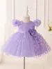 Ropa Infantil Transfronteriza Vestidos para Niñas Falda Tutú de Malla Bebé Vestido para Bebé de un Año Vestido de Boda Mariposa Vestido de Princesa Venta al por Mayor