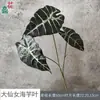 Hoja de taro de un solo pedicelo, planta verde de simulación, flor falsa para boda, fondo floral para decoración de hotel, hogar, ventana, paisajismo.