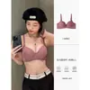 Fábrica de Minas Terrestres Pequeñas Engrosadas Venta Directa Transfronteriza Vietnam Tailandia Ropa Interior Femenina Push-Up Cómodo Sujetador Push-Up con Cierre Lateral