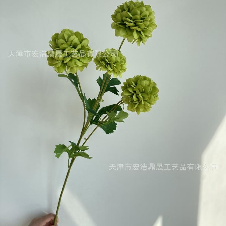 微信图片_20230913151906_副本