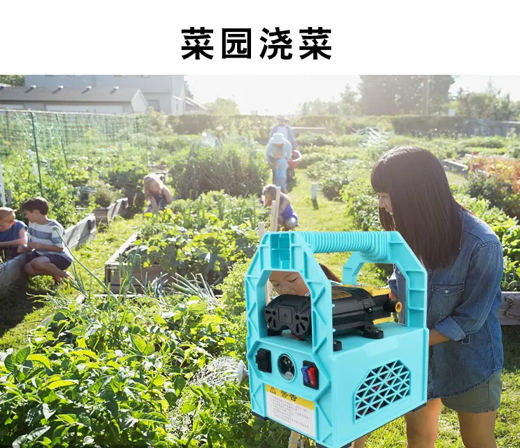 15浇菜