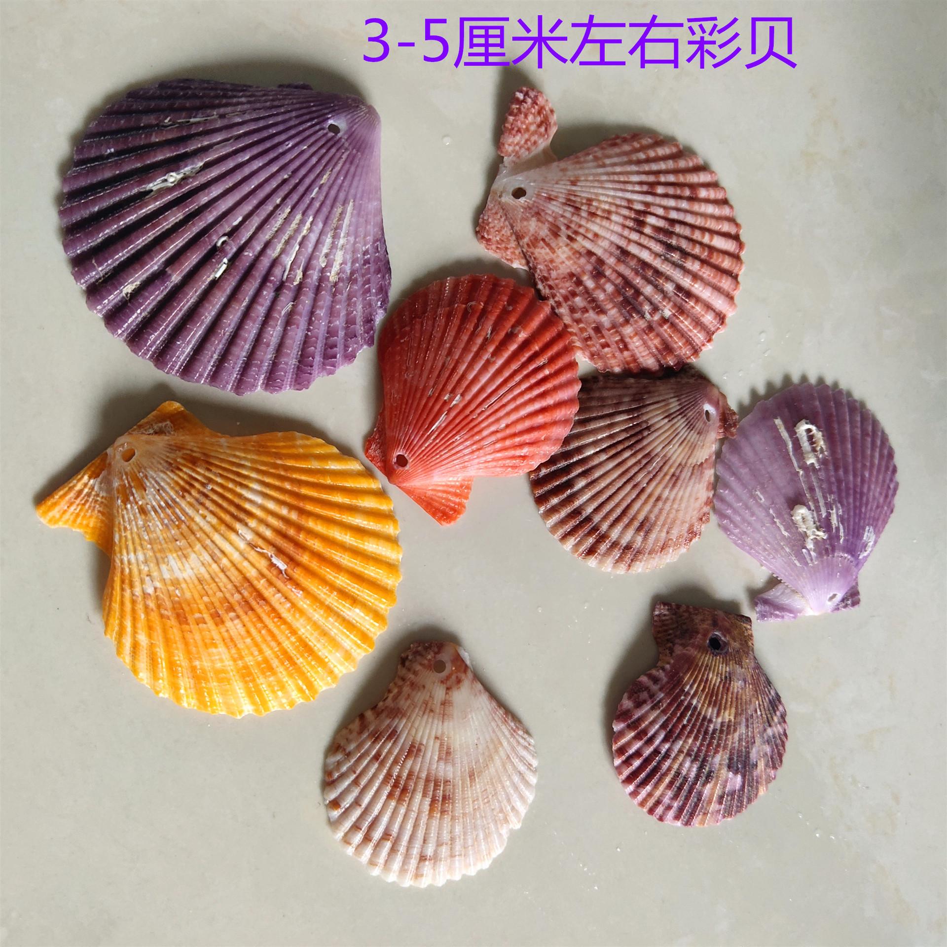 IMG_20200129_125430_副本