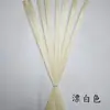 Tiras de Paja de Trigo, Tiras de Paja de Trigo Raspadas a Mano, Pintura y Pegado, Tejido, Materiales DIY Hechos a Mano, Decoración de Superficies, Creación Ambiental