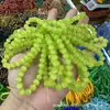 Pulsera de Bolas Redondas Ojo de Gato de 8 mm. Pulsera de Lujo Ligero y Sensación de Alta Gama. Pulsera apilable, artículo pequeño popular para transmisiones en vivo y puestos de mercado