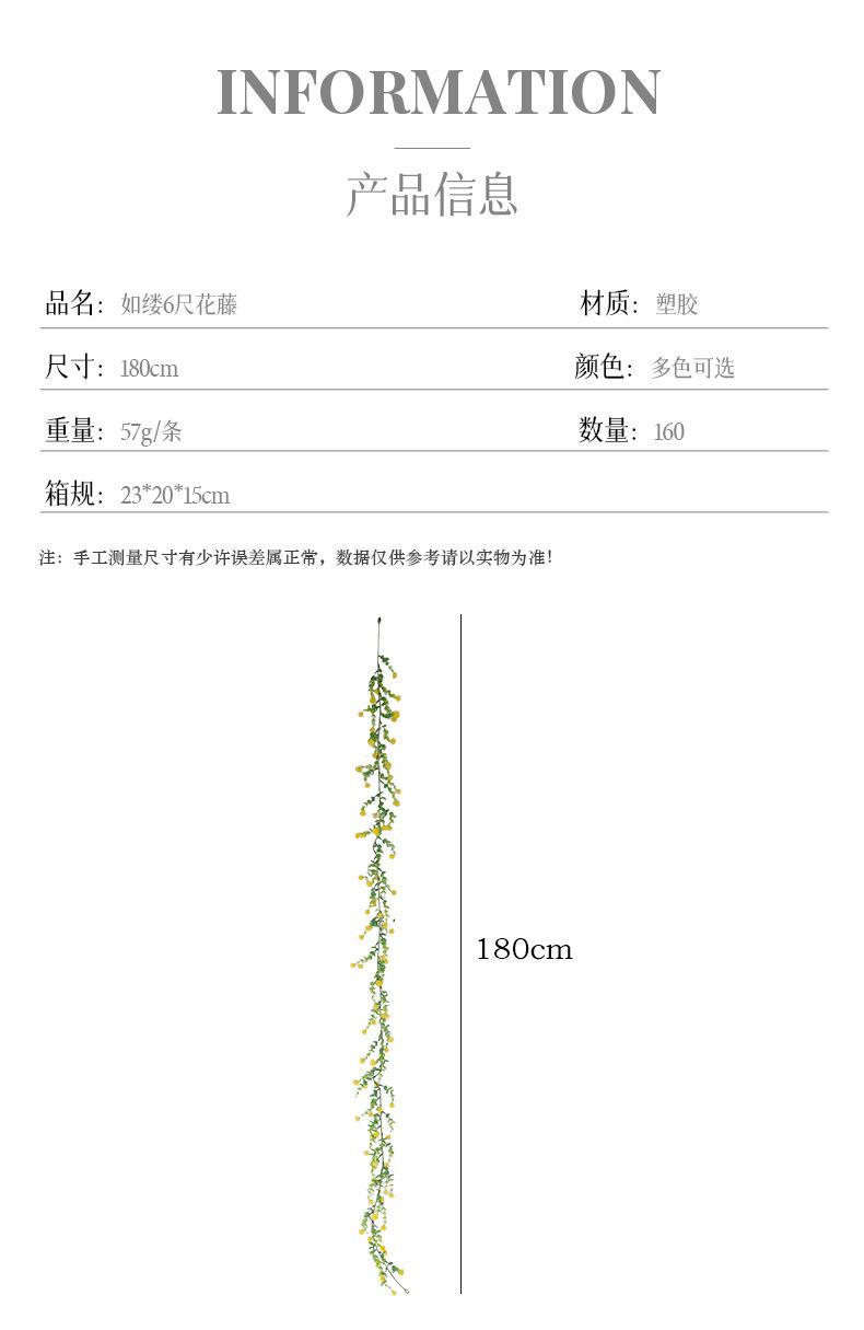 如缕6尺花藤_03.jpg