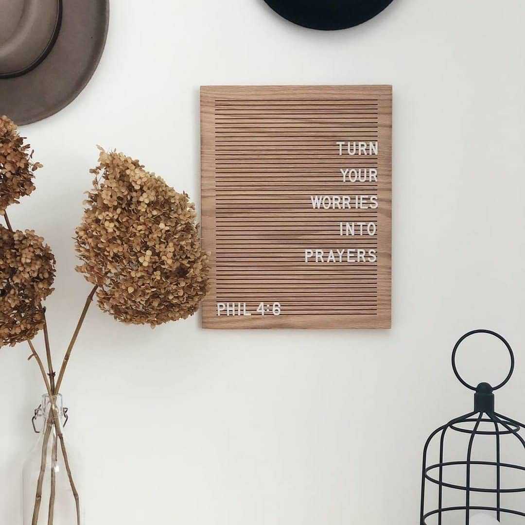 53478542_166852384211256_65348