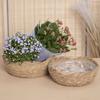 Maceta pastoral tejida a mano de paja para plantas de flores, cesta de almacenamiento para plantas verdes, accesorios fotográficos creativos, posado fotogénico