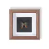 Espécime Raro e Precioso de Borboleta em um Quadro, Madeira Natural Ornamento para Decoração de Casa Moderna, Peça de Exibição Criativa