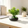 Suministro Directo Transfronterizo Mini Plantas Verdes Flores Falsas Plantas en Maceta Simulación Piedras Decorativas Maceta Plana Adornos Fotografía Foto Mini Bonsái Accesorios