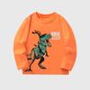 Suministro Transfronterizo de Ropa Infantil 25 Años Otoño e Invierno Camiseta de Manga Larga para Niños Estampado de Dinosaurio de Dibujos Animados Ropa de Punto de Cuello Redondo para Niños