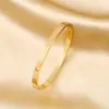 Pulsera de acero de titanio dorado para mujer, pulsera de pareja de circonita de alta calidad, pulsera de anillo liso de lujo ligero, Nuevo