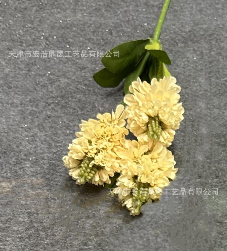 微信图片_202307231340152(7)