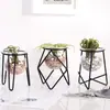Ins Nordic Geométrico de Hierro Hidropónico Planta Decorativa Jarrón Hidropónico Simple Botella de Vidrio Adornos Decorativos Venta al por Mayor