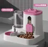 Tigela para gato, tigela para cachorro, recipiente para ração de gato, tigela dupla, dispensador automático de água e ração, comedouro automático integrado, balde de armazenamento de ração para gatos e cachorros