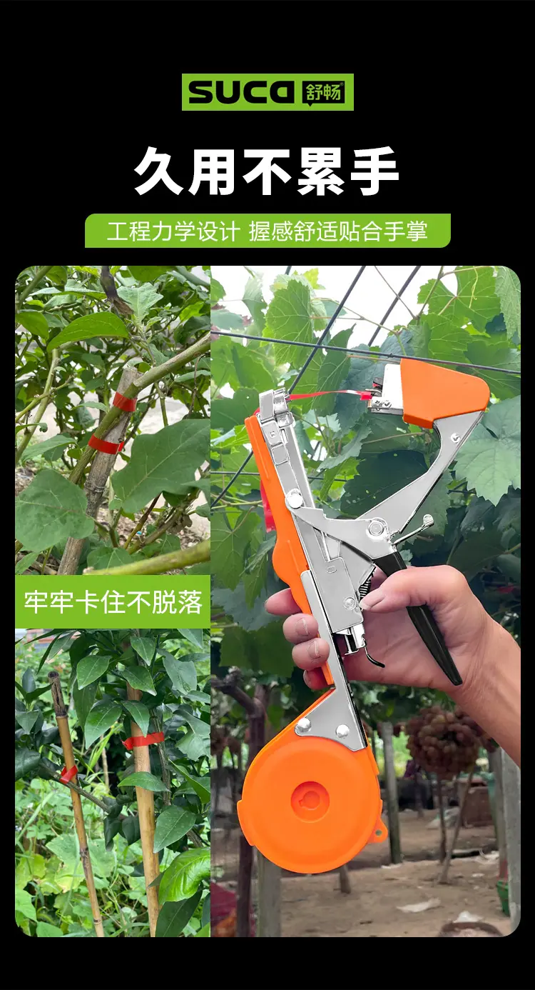 8105橙_09.jpg