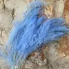 Grama Barba de Dragão Eterna Pendurada Arroz Decoração de Casa Pendurada na Parede Planta de Rattan Decoração de Casamento Grama Aspargo Grama Pena Grama Barba de Dragão