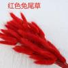 Tingido de coelho cauda de grama flor seca flor eterna colorido Dogtail grama decoração de casa Yunnan fábrica flor seca atacado