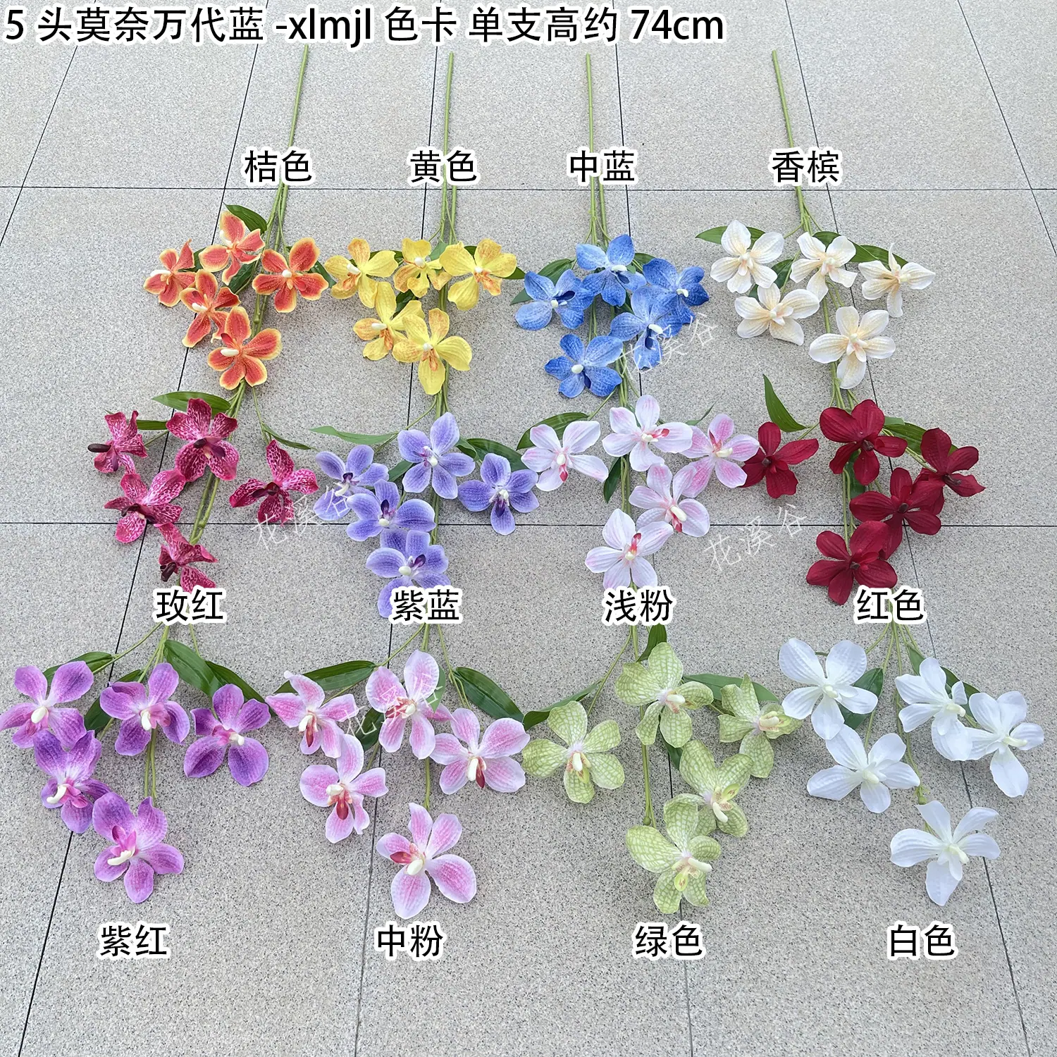 5头莫奈万代蓝-xlmjl 色卡 花溪谷.jpg