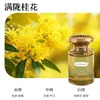 Aromaterapia para Carro, Perfume para Carro, Novo Perfume de Luxo, Fragrância Duradoura no Carro, Enfeites de Aromaterapia de Luxo para Carro