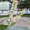 Nueva simulación flor campanilla delphinium comercio exterior 2 horquillas flor Qianxun guía de camino de boda decoración de techo flor artificial venta al por mayor