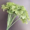 Musgo de 8 cabezas, Hierba de musgo, Habitación modelo, Pared vegetal, Accesorios de decoración para fotografía de bodas, Flores artificiales de hojas
