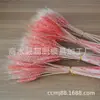 Plato Frío con Espiga de Trigo Dorado Borde Decorativo con Flores Decorativas Forma Creativa Adornos Pequeños para Cocina