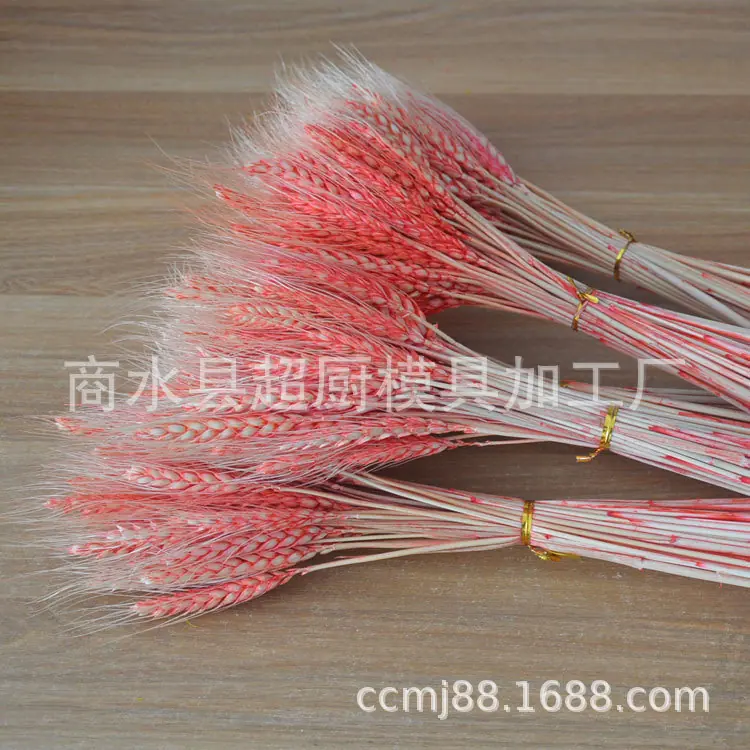 麦穗彩-(12)