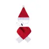 Chapéu de Ganso e Cachecol de Porche de Natal Transfronteiriço Novo Acessórios de Decoração de Atmosfera Festiva Atacado do Fabricante
